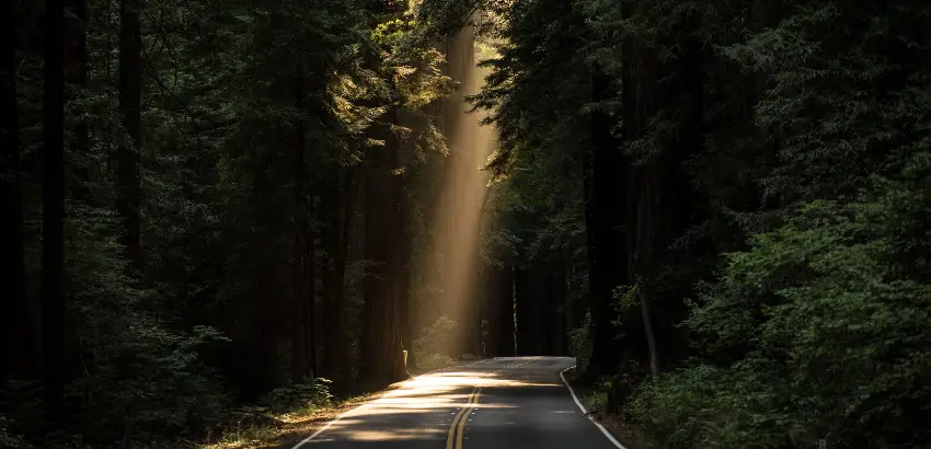 光の道